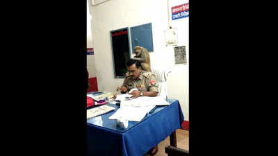 पीलीभीत: बंदर ने यूपी पुलिस के कोतवाल के बीने जुएं, देखें विडियो