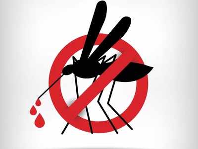 வீட்டு மருத்துவத்தில் Dengue விரட்டி அடிக்க முன்கூட்டியே என்ன செய்யலாம் அவசியம் தெரிந்துகொள்ளுங்கள்..