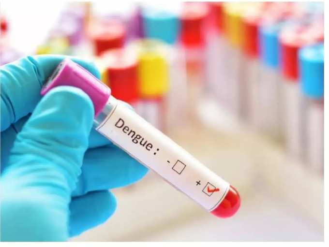 dengue fever test