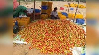 ಟೊಮೇಟೊ ಬೆಲೆ ಏರಿಕೆ