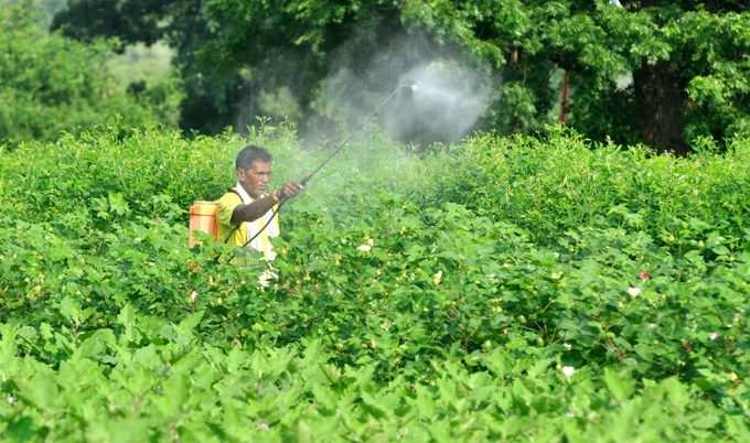 farmer pesticide 2