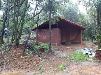 ತಲಕಾವೇರಿ ಬಳಿ ರೆಸಾರ್ಟ್‌: ಅಧಿಕಾರಿ  ಅಮಾನತು