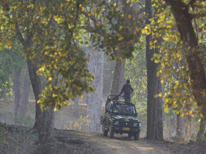 jeep safari