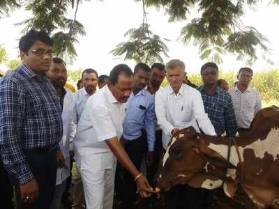 ಜಾನುವಾರುಗಳ ಕಾಲು ಬಾಯಿ ರೋಗ ತಡೆಗೆ ರಾಜ್ಯಾದ್ಯಂತ ಲಸಿಕಾ ಅಭಿಯಾನ: ಪ್ರಭು ಚವ್ಹಾಣ್