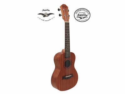 म्यूज़िक के दीवानों के लिए Amazon लेकर आया है शानदार  Acoustic Guitar