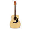 Acoustic Guitar