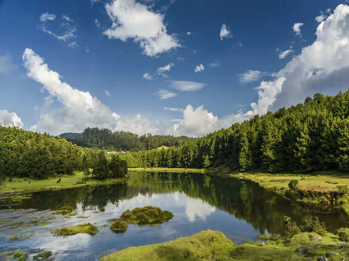 ooty lake