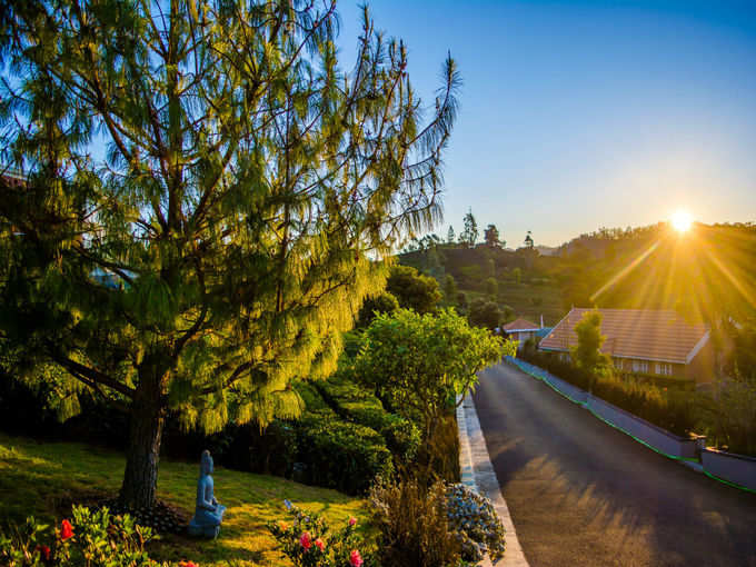 ooty botanical garden