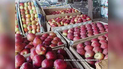 कश्मीर में विरोध-प्रदर्शनों से सेब के निर्यात में कमी