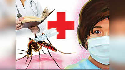 मलेरिया, डेंग्युचा वाढता धोका
