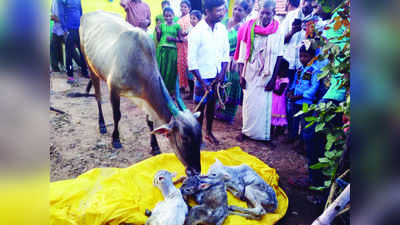 ಲಕ್ಷ್ಮಿಗೆ ರಾಮ, ಲಕ್ಮಣ, ಸೀತೆ ಜನನ!