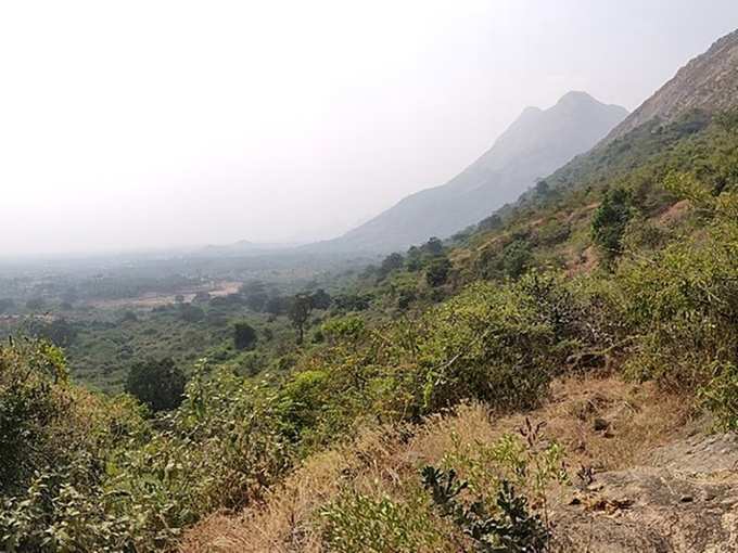 Rajakesari_Peruvazhi_panorama 10