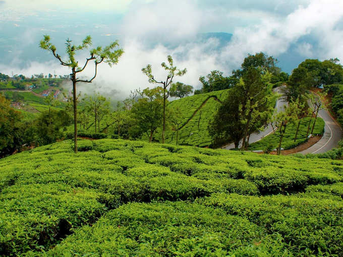 कुन्नूर, तमिलनाडु