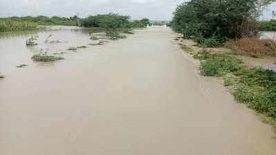 ತುಂಬಿ ಹರಿದ ಕಲಹಾಳ ಹಳ್ಳ