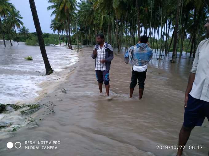 ಮಳೆಗೆ ಕೃಷಿ ಭೂಮಿ ಜಲಾವೃತ