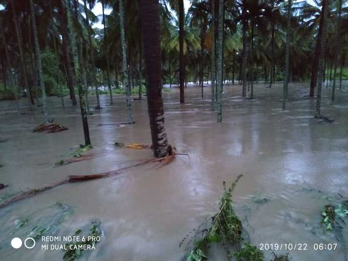 ಮಳೆಗೆ ಕೃಷಿ ಭೂಮಿ ಜಲಾವೃತ