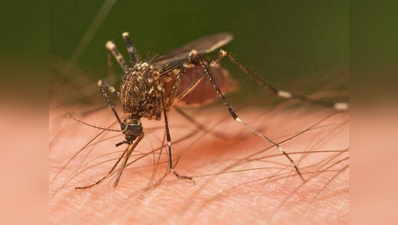 Malaria और मच्छरों के आतंक से बचाता है DEET