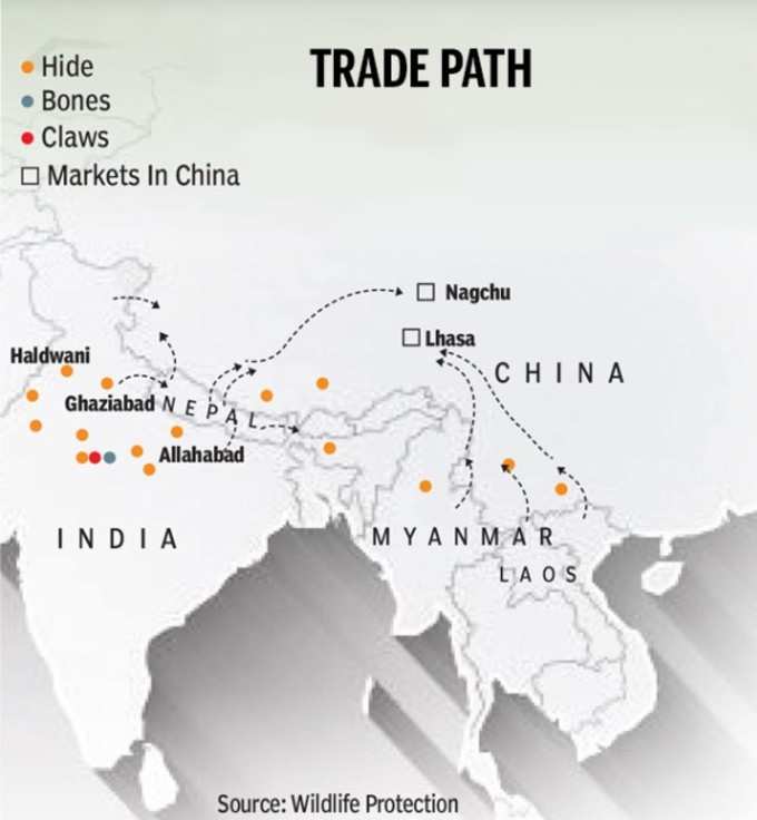 trade path 1