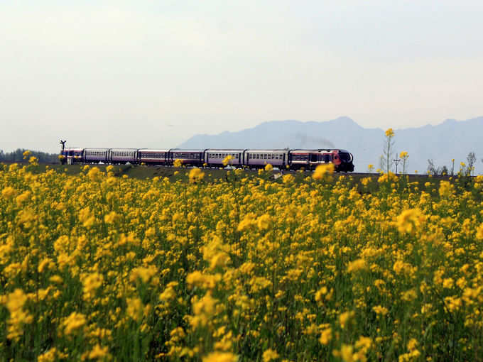 araku train