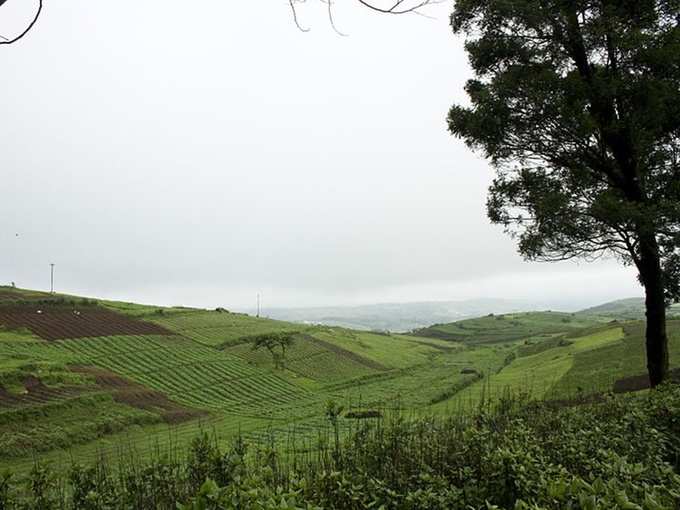 meghalaya Rain photos 2