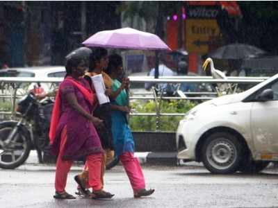 chennai Rains: மழைக்கு ரெண்டு நாள் ரெஸ்ட், துணிஞ்சு வெளியே இறங்கலாம்!