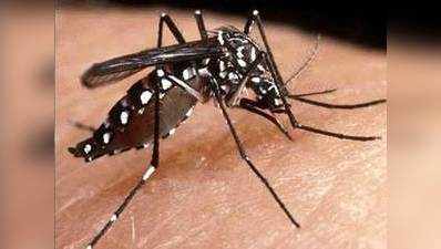लखनऊ में डेंगू से एक और मौत, मरने वालों की संख्या हुई सात