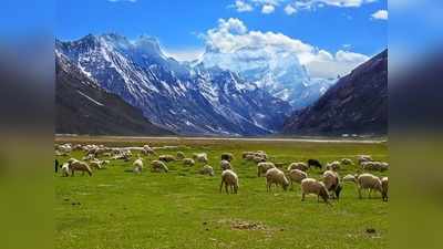 Ladakh Trip: லே சென்றால்தான் நாம் வாழ்வதற்கான காரணம் புரியும்! அப்படி ஒரு இடம்!