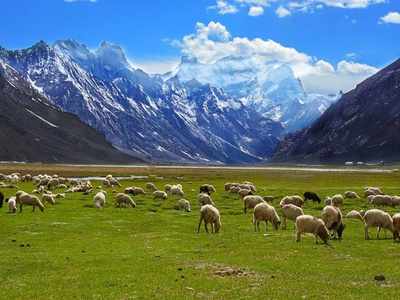 Ladakh Trip: லே சென்றால்தான் நாம் வாழ்வதற்கான காரணம் புரியும்! அப்படி ஒரு இடம்!