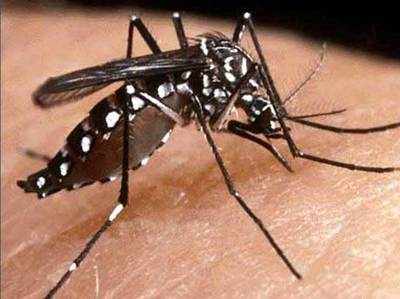 केजीएमयू के एक और डॉक्टर को डेंगू, 39 नए मरीज आए सामने