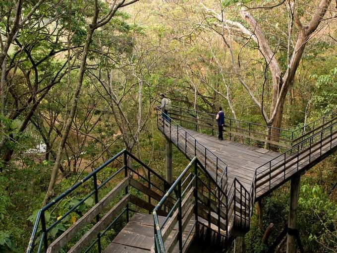 Thenmala forest