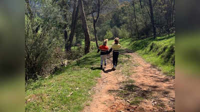 Australia Snake Catcher : இந்த புகைப்படத்தில் பாம்பு எங்குள்ளது கண்டுபிடியுங்கள் பார்ப்போம்