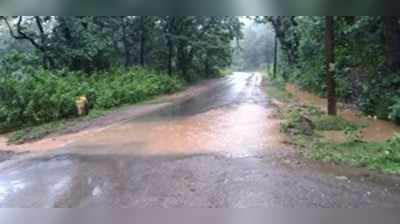 ನಡುಕ ಹುಟ್ಟಿಸಿದ ಮಳೆ