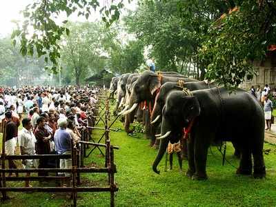 Kerala Tourism : திரிச்சூரின் அழகைக் கண்டு ரசித்து திரும்புவோம் வாருங்கள்