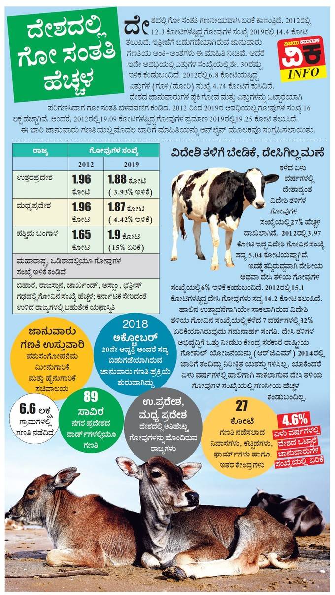 Cow Population In India