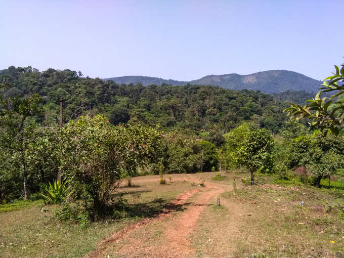 coorg