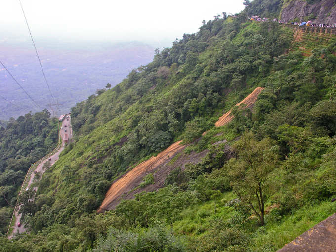 wayanad coffee