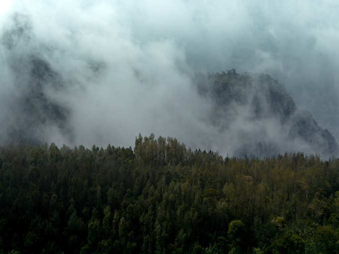 yercaud