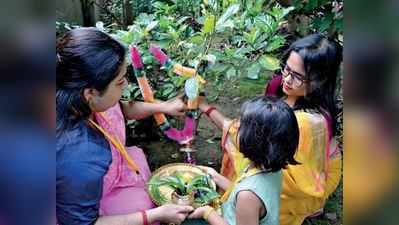 পরিবেশ বাঁচাতে দীর্ঘ জীবন কামনায় বোনেদের গাছফোঁটা