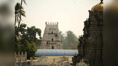 ప్రపంచంలోనే విష్ణువు కూర్మావతారంలో ఉన్న ఏకైక ఆలయం ఇది.. ఎక్కడుందో తెలుసా?