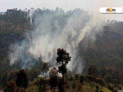 কাশ্মীর সীমান্তে ফের পাক হামলা, নিহত ১