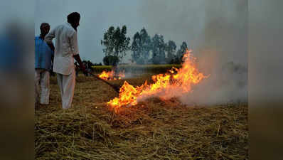 पीलीभीत: पराली जलाने वाले 300 किसानों के खिलाफ दर्ज हुई एफआईआर