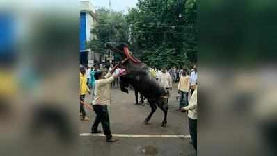 नगरमध्ये सगर उत्साहात