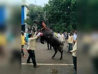 नगरमध्ये सगर उत्साहात