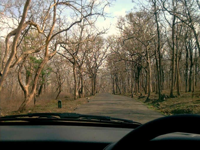 Sathyamangalam road