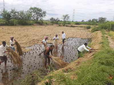 शेतकऱ्याचे अश्रू पुसा