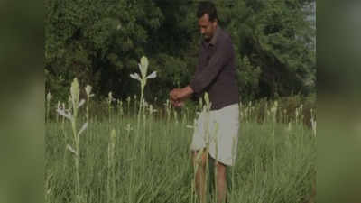 असली हीरो: सरकारी नौकरी छोड़ खेती में उतरे शख्स ने दी किसानों-युवाओं को प्रेरणा