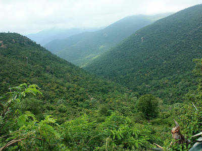 ಮಲೈ ಮಹದೇಶ್ವರ ಬೆಟ್ಟದ ಮಹದೇಶ್ವರನ ದರ್ಶನ ಮಾಡಿ