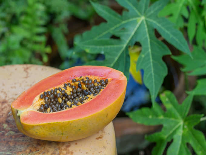 papaya