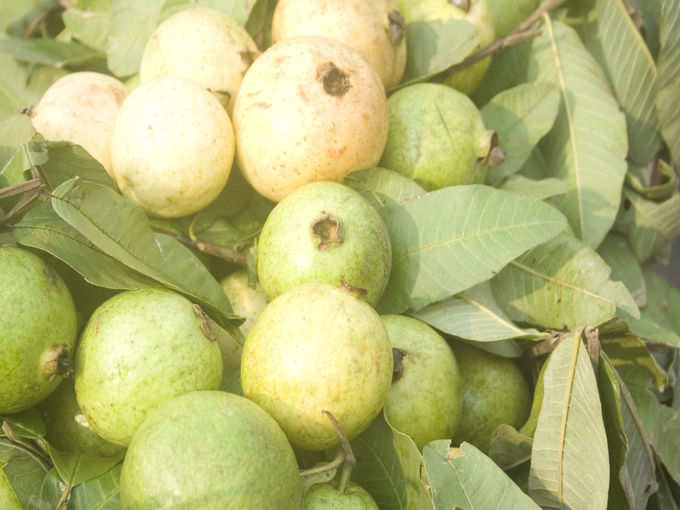 Gauva fruits