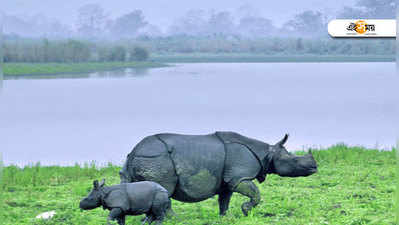 চোরাশিকার রুখতে নয়া প্রযুক্তি